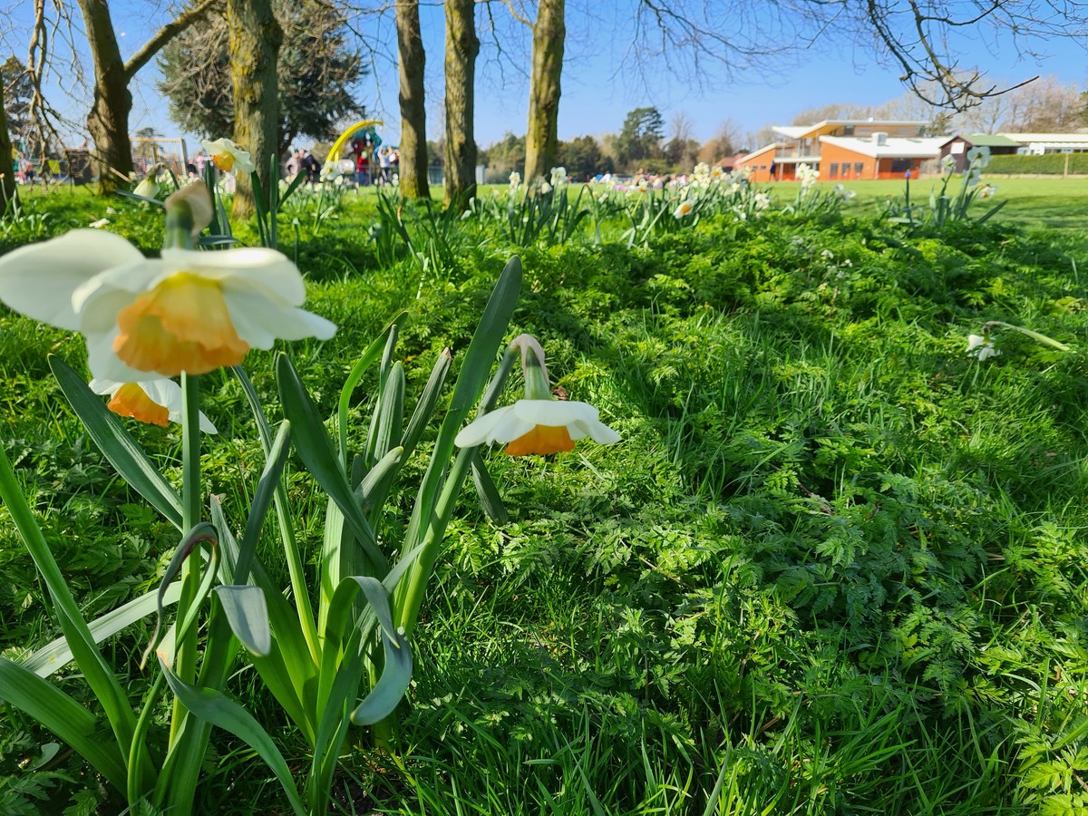 Aston Clinton Park